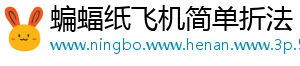 蝙蝠纸飞机简单折法